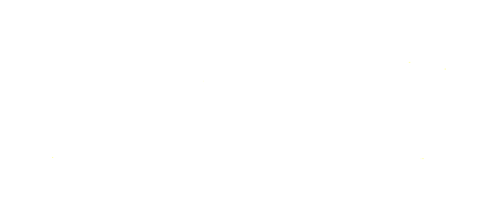 Moos 
